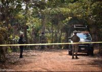 Violencia en el sur reactiva alertas