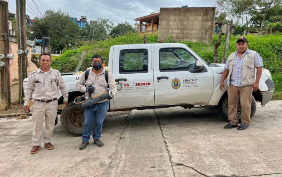 El Gobierno Municipal de Sayula de Alemán refuerza acciones para prevenir las enfermedades transmitidas por vector, como el dengue, zika y chikungunya.