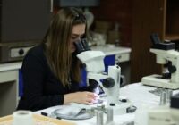 El papel de las mujeres en la paleontología.