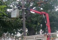 Refuerza Ayuntamiento de Veracruz seguridad vial con rehabilitación de semáforos