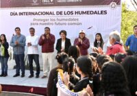 Inicia Ayuntamiento de Veracruz acciones permanentes para proteger su sistema lagunar