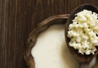 Explican nutriólogos del IMSS Veracruz Sur beneficios y precauciones de consumir Kéfir