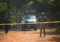 Hallan al menos siete cuerpos en fosas clandestinas de Jáltipan