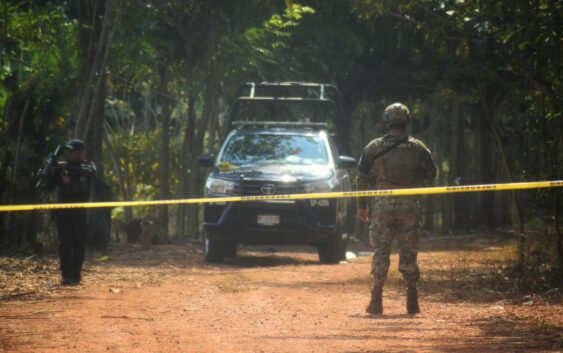 Hallan al menos siete cuerpos en fosas clandestinas de Jáltipan