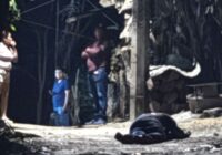 Doble homicidio en Soconusco: dos jóvenes asesinados en barrio San Pedro y San Pablo