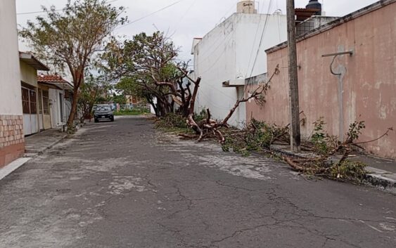 Reporta Ayuntamiento de Veracruz saldo blanco tras paso del Frente Frío 37