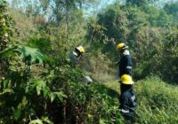 Prevé PC municipal surada con rachas de 40 km/h para este viernes en la ciudad de Veracruz