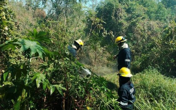 Prevé PC municipal surada con rachas de 40 km/h para este viernes en la ciudad de Veracruz
