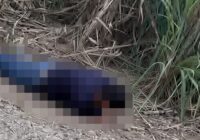 ‘Dos personas ejecutadas en la zona centro en menos de 48 horas”