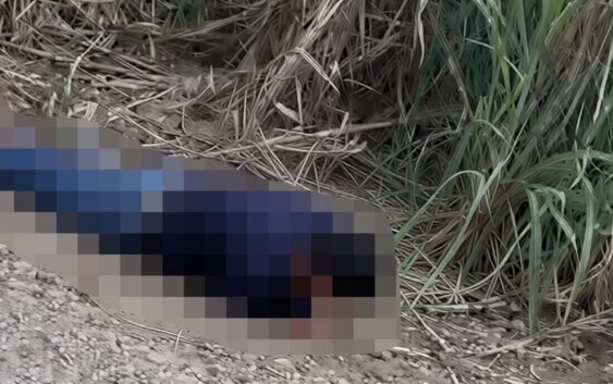 ‘Dos personas ejecutadas en la zona centro en menos de 48 horas”