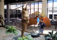 El mestizaje prehistórico: los hombres eran neandertales y las mujeres Homo sapiens