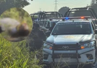 Encuentran cuerpo maniatado y con huellas de tortura en carretera de Minatitlán