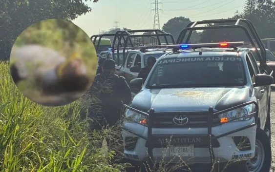 Encuentran cuerpo maniatado y con huellas de tortura en carretera de Minatitlán