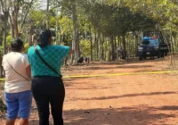 Veracruz ocupa el tercer lugar nacional en hallazgos de fosas clandestinas