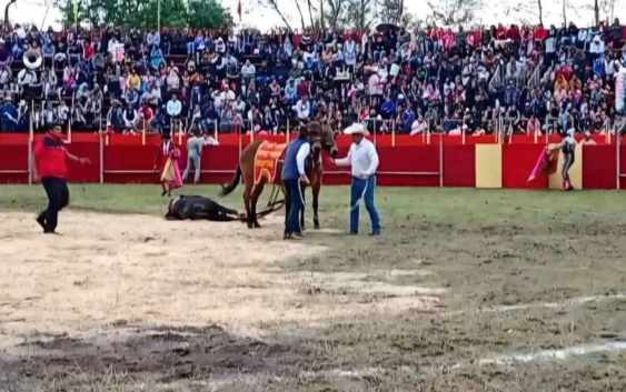 En corrida de Ixhuatlancillo matan a 3 toros, acción ilegal