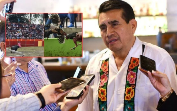 Se sancionará a responsables de maltrato animal en Ixhuatlancillo y Aquila: Esteban Bautista