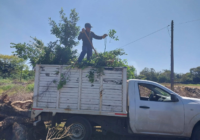 El Gobierno Municipal trabaja por espacios limpios y en orden