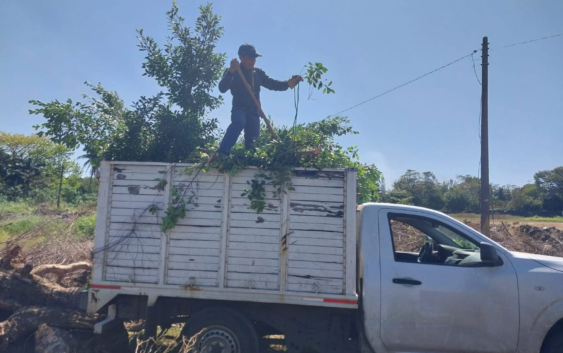 El Gobierno Municipal trabaja por espacios limpios y en orden