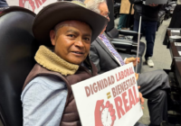 Luis Morales, comerciante e indígena otomí, toma el lugar de Sergio Mayer en la Cámara de Diputados