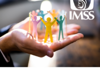 Invita IMSS Veracruz Sur a realizar Corrección Patronal