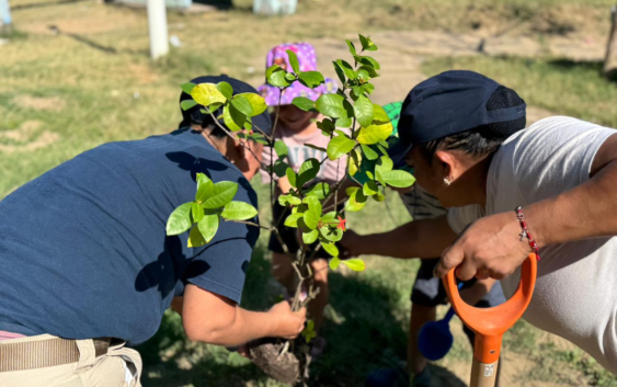 Unen ciudadanía y Gobierno de Coatzacoalcos esfuerzos en jornada de reforestación en Santa Martha