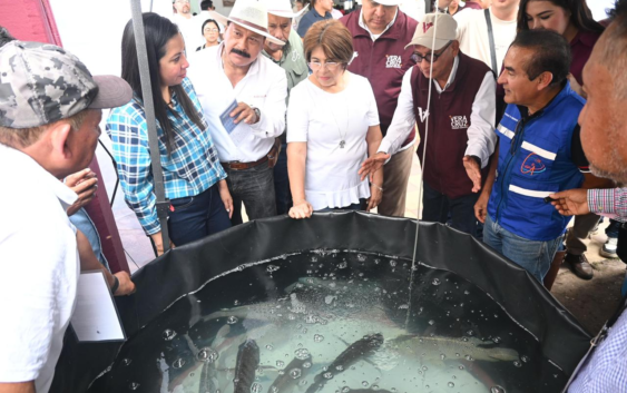 Acerca Ayuntamiento de Veracruz insumos y oportunidades a productores agropecuarios