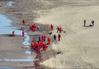 Playas de Veracruz están limpias tras derrame de petróleo: Rocío Nahle Playas de Veracruz están limpias tras derrame de petróleo: Rocío Nahle