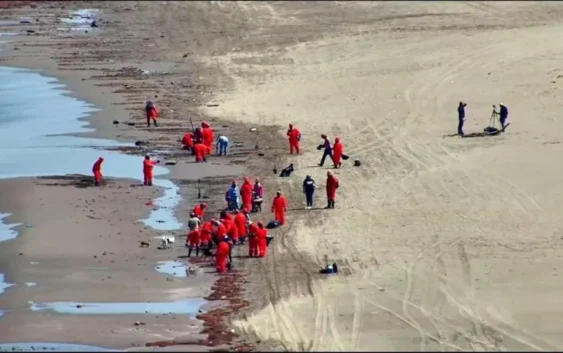 Playas de Veracruz están limpias tras derrame de petróleo: Rocío Nahle