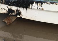 Alcalde de Pajapan alerta sobre derrame de crudo y pide acción inmediata de autoridades