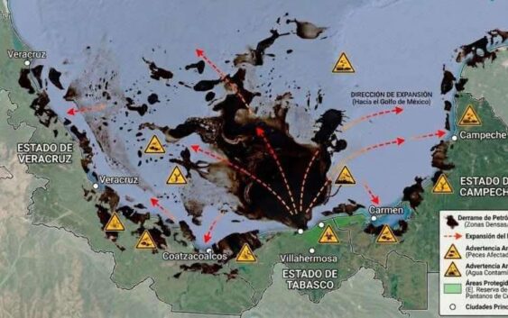 Sin control derrame de hidrocarburo en costas de Veracruz: Greenpeace