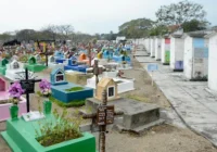 Urge Ayuntamiento de Veracruz a realizar trámites de exhumación pendientes