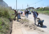 Gobierno de Coatzacoalcos intensifica mantenimiento integral en colonias y accesos principales