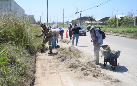 Gobierno de Coatzacoalcos intensifica mantenimiento integral en colonias y accesos principales