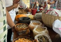 Gobierno Municipal impulsa preservación de la cocina tradicional
