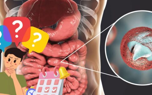 Emite IMSS Veracruz Sur recomendaciones para prevenir enfermedades gastrointestinales