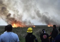 Incendio de pastizales provoca cierre en la carretera Coatzacoalcos – Minatitlán