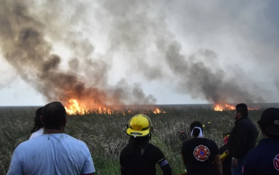 Incendio de pastizales provoca cierre en la carretera Coatzacoalcos – Minatitlán