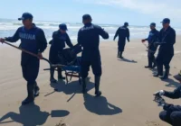 Suspenden la pesca en dos municipios de Veracruz por el derrame; suman 42 localidades afectadas Suspenden la pesca en dos municipios de Veracruz por el derrame; suman 42 localidades afectadas