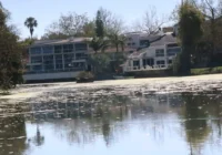 Peligra Lago de Las Ánimas en Xalapa: contaminación por aguas negras y grises impide recuperación