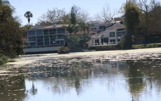 Peligra Lago de Las Ánimas en Xalapa: contaminación por aguas negras y grises impide recuperación