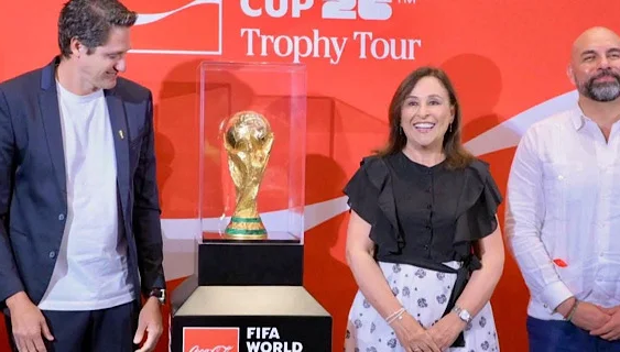 TIBURÓN A LA VISTA!