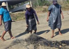 A una semana del derrame de petróleo en el Golfo, comunidades pesqueras e indígenas de Veracruz y Tabasco siguen a la deriva