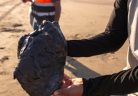 AYUNTAMIENTO DE CATEMACO PRESENTA DIAGNÓSTICO AMBIENTAL POR DERRAME DE HIDROCARBUROS EN SU LITORAL COSTERO