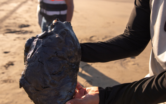 AYUNTAMIENTO DE CATEMACO PRESENTA DIAGNÓSTICO AMBIENTAL POR DERRAME DE HIDROCARBUROS EN SU LITORAL COSTERO