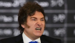 Despoja Milei tierras a mapuches para entregarlas a firmas sionistas: activista Despoja Milei tierras a mapuches para entregarlas a firmas sionistas: activista