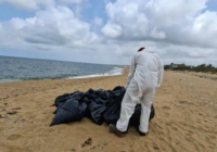 Fuera de control el derrame petrolero en el Golfo de México: Greenpeace