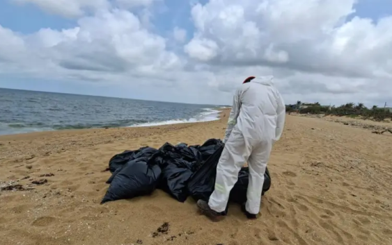 Fuera de control el derrame petrolero en el Golfo de México: Greenpeace