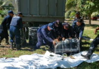 Más de 2 mil elementos atienden la presencia de hidrocarburos en costas de Veracruz y Tabasco Más de 2 mil elementos atienden la presencia de hidrocarburos en costas de Veracruz y Tabasco