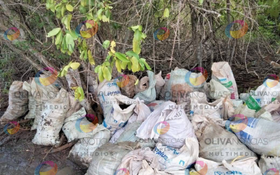 Comunidades indígenas de Pajapan encabezan labores de limpieza tras derrame de hidrocarburo
