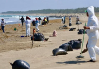 Inacción y versiones contradictorias acusan pescadores tras desastre ambiental en el Golfo de México Inacción y versiones contradictorias acusan pescadores tras desastre ambiental en el Golfo de México